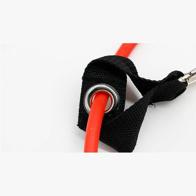 Lioninside®  - Resistance band training equipment - LIONINSIDE