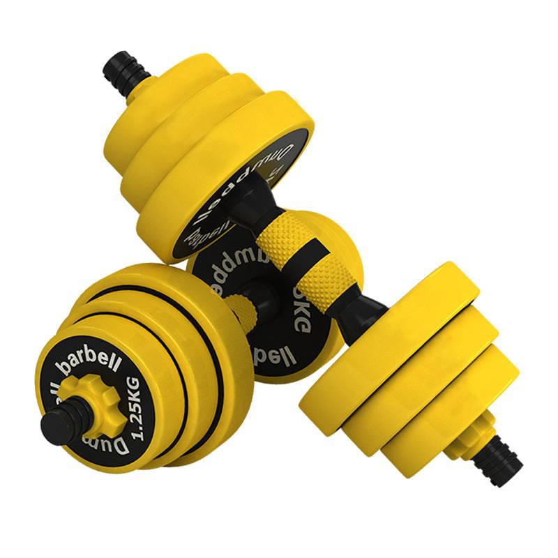 Iron-Clad Dumbbell + Barbell in 1 - LIONINSIDE